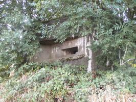 Ligne Maginot - B263 - Le VERTUQUET (Blockhaus pour canon) - 