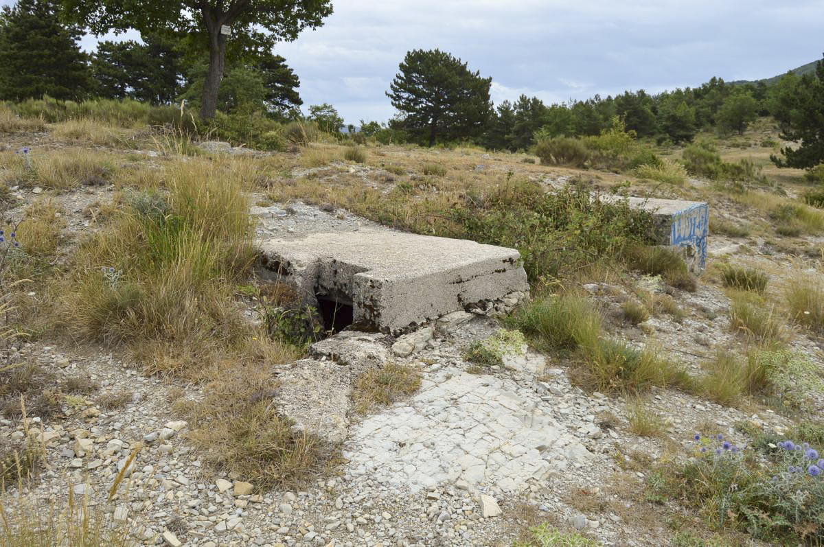 Ligne Maginot - BAISSE DU PAPE (2° BIE 157° RAP) - (Position d'artillerie préparée) - Reste de l’abri