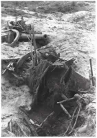 Ligne Maginot - S4 - (Position d'artillerie préparée) - Les restes de la batterie de 2 canons de 120 L de Bange