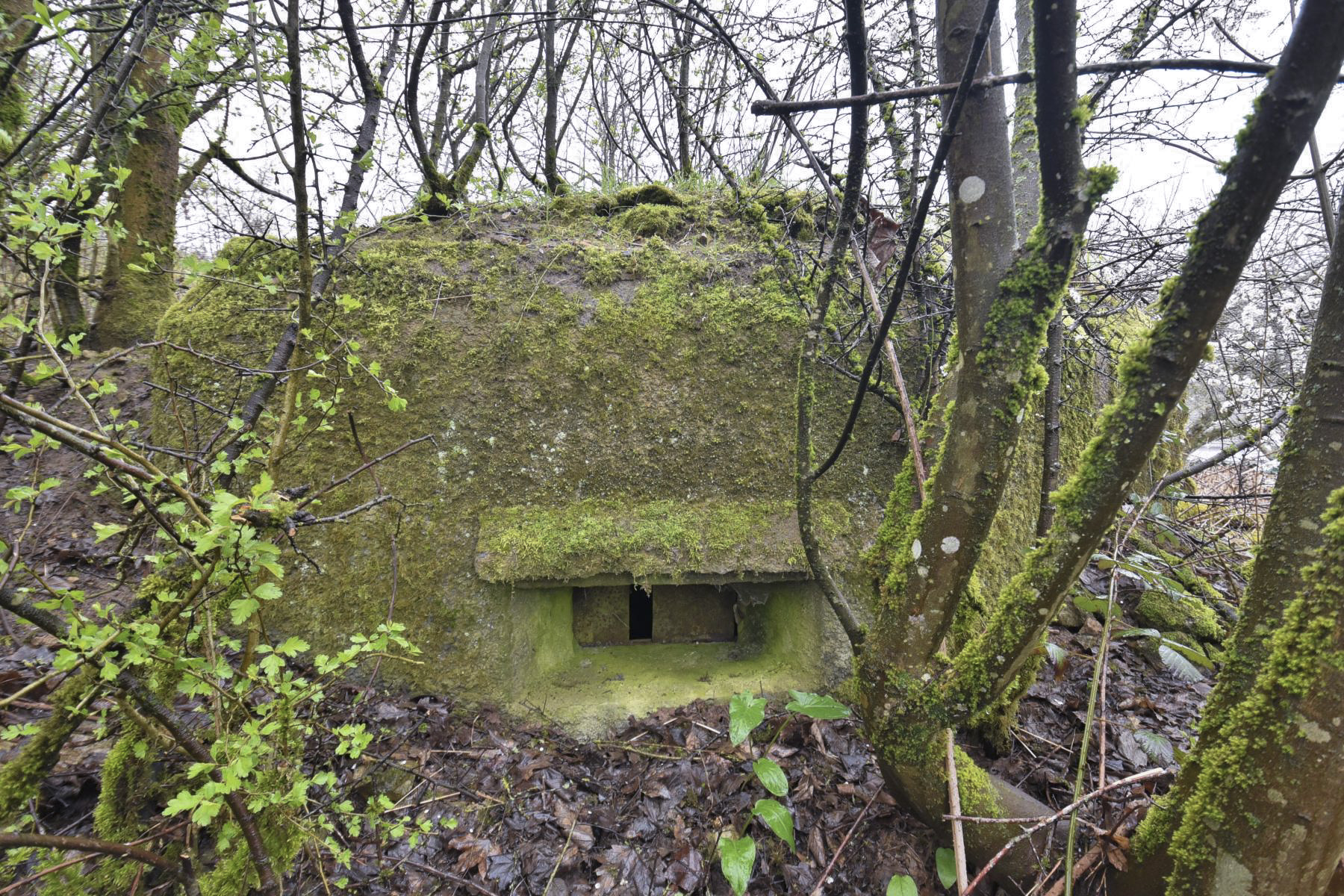 Ligne Maginot - M4 - EICHHOLTZ 1 - (Blockhaus pour arme infanterie) - 