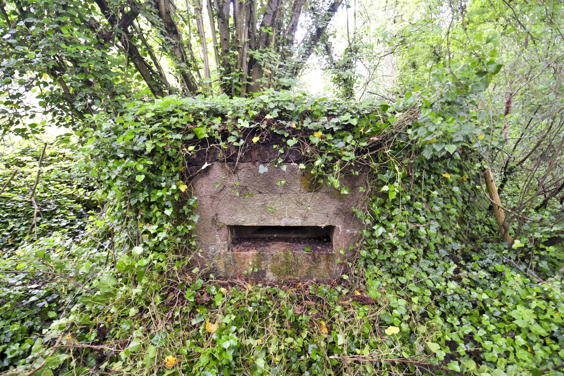 Ligne Maginot - BARRWALD CENTRE - (Blockhaus pour arme infanterie) - 