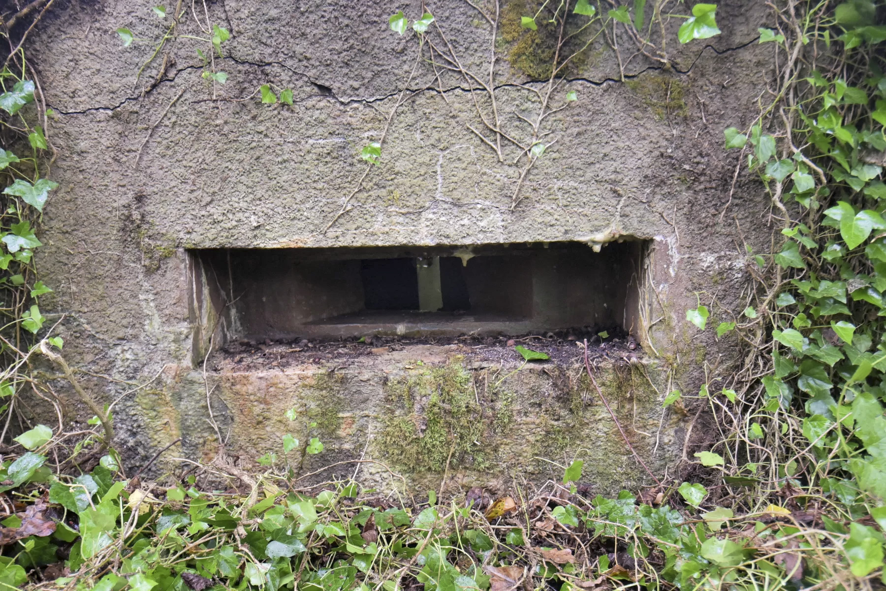 Ligne Maginot - BARRWALD CENTRE - (Blockhaus pour arme infanterie) - 