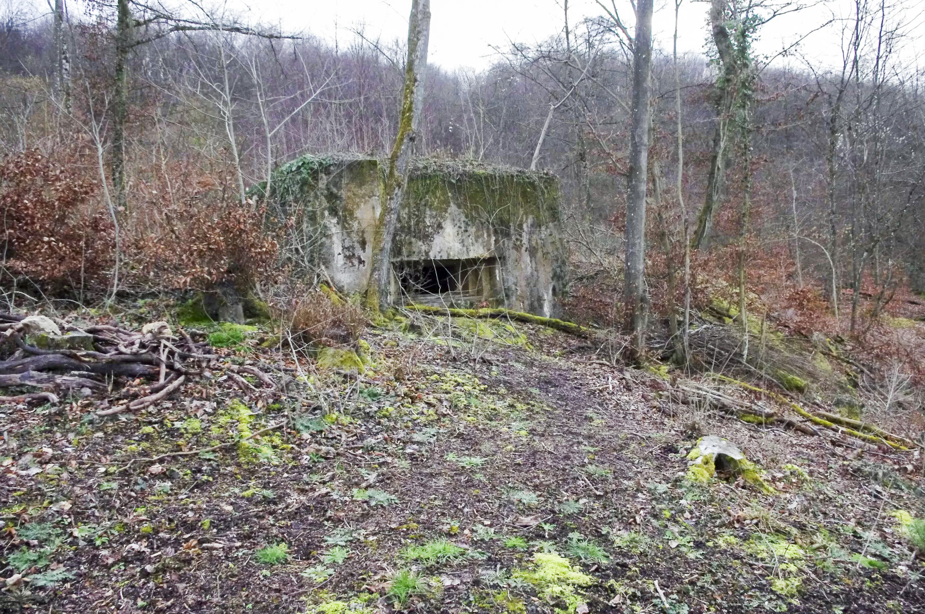 Ligne Maginot - CB105 - BROMACKER - (Blockhaus pour canon) - La façade de tir.