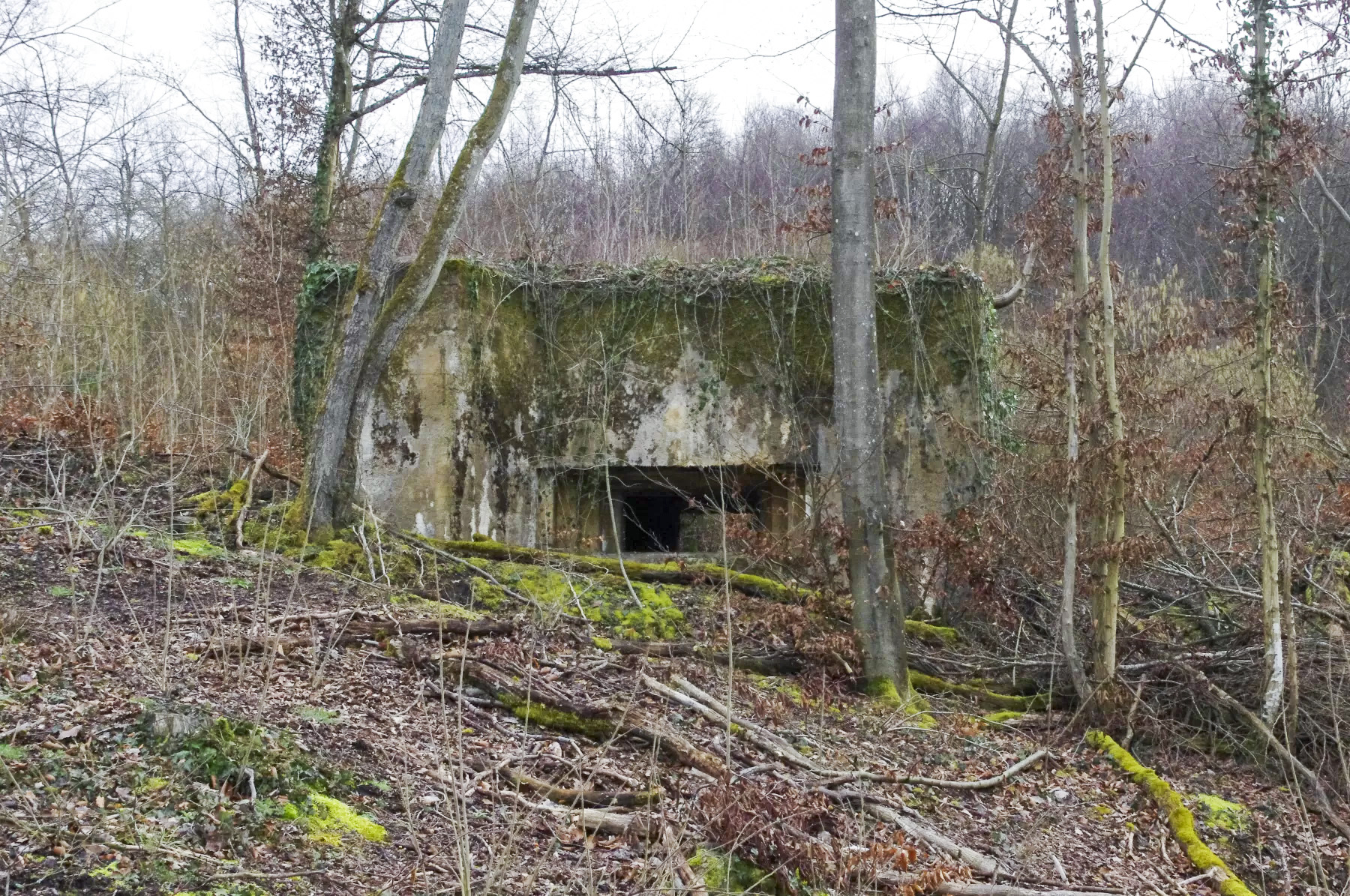 Ligne Maginot - CB105 - BROMACKER - (Blockhaus pour canon) - La façade de tir.
