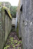 Ligne Maginot - Abri-PC de DALHUNDEN Est - La tranchée d'accès au blockhaus