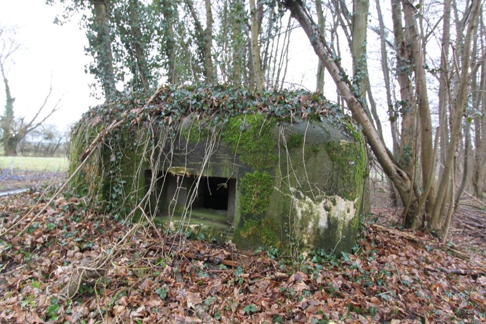 Ligne Maginot - LILIENFELD Nord (Blockhaus pour arme infanterie) - 