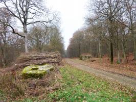 Ligne Maginot - Bloc pour tourelle démontable Ct57 - L'encuvement CT 57 au premier plan et le blockhaus pour canon antichar Rippert 2 au second plan
