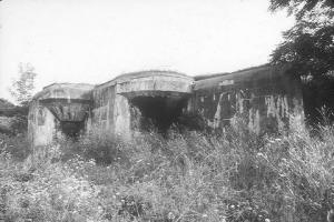 Ligne Maginot - Caseamte STG d'artillerie 80b - UFFHEIM Nord Est - Vue d'ensemble
