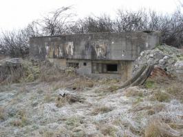 Ligne Maginot - NEUWIESE 1 - (Blockhaus pour arme infanterie) - Façade de tir