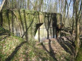 Ligne Maginot - BOIS DE TAPPE EST  - C6 - (Casemate d'infanterie) - Du coté de l'entrée