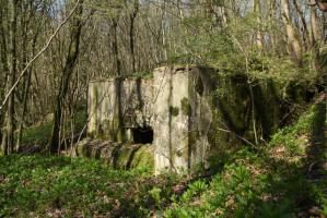 Ligne Maginot - DB126 - BOIS DE CRUSNES EST - (Blockhaus pour canon) - 