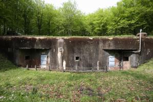 Ligne Maginot - BOIS de CATTENOM - X14 (Abri) - Vue générale