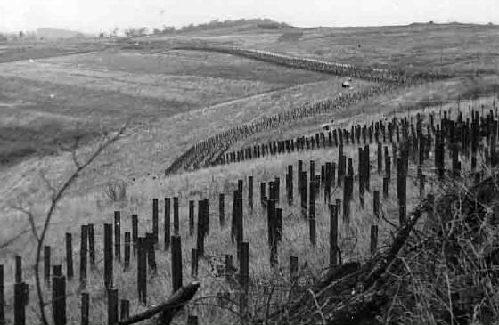 Ligne Maginot - SCHIESSECK - (Ouvrage d'artillerie) - Le réseau antichar aux abords de l'ouvrage