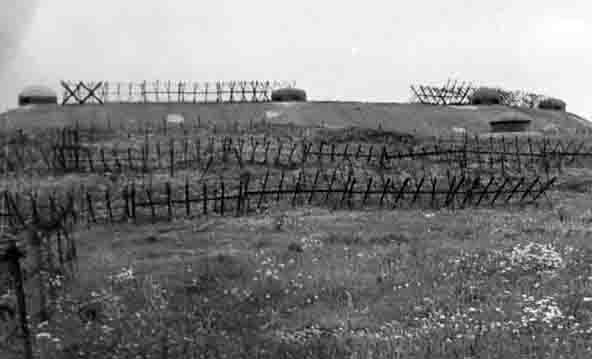 Ligne Maginot - BOIS DU FOUR - A5 - (Ouvrage d'infanterie) - Les dessus de l'ouvrage en 1940