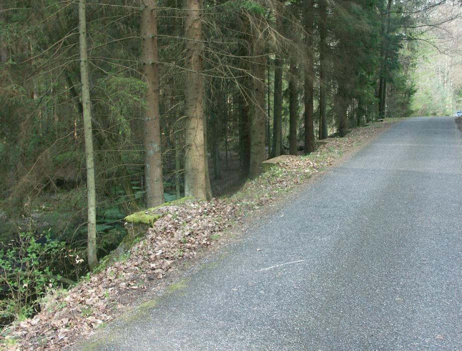 Ligne Maginot - 2Q2 - DMP de l'Erbsenberg - Les 6 accés aux fourneaux de mines sont visibles sur le coté gauche de la chaussée