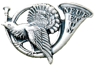 Insigne du 91° Bataillon de Chasseurs Alpins