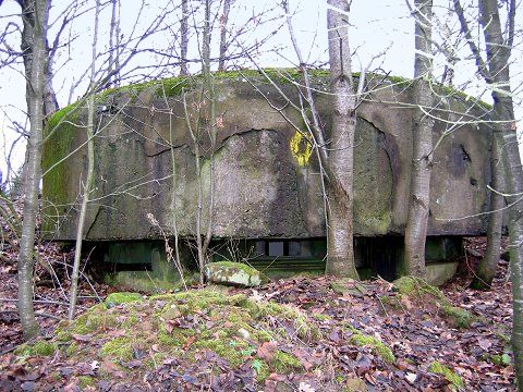 Ligne Maginot - KINDELBERG - (Observatoire d'artillerie) - 