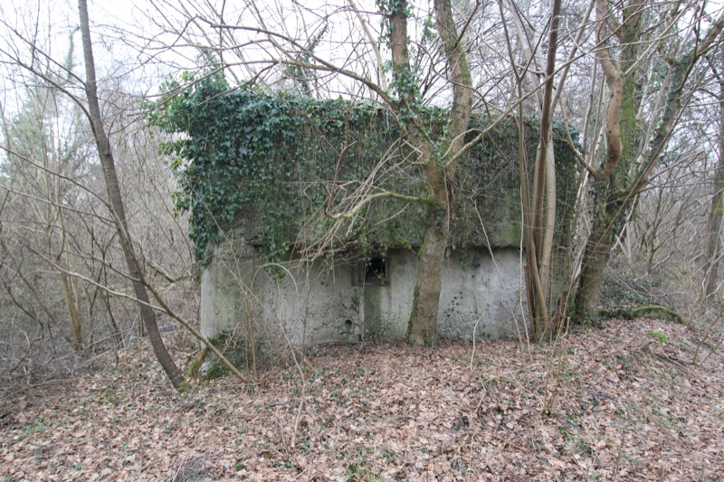 Ligne Maginot - ROSSMOERDER NORD EST - (Blockhaus pour arme infanterie) - 