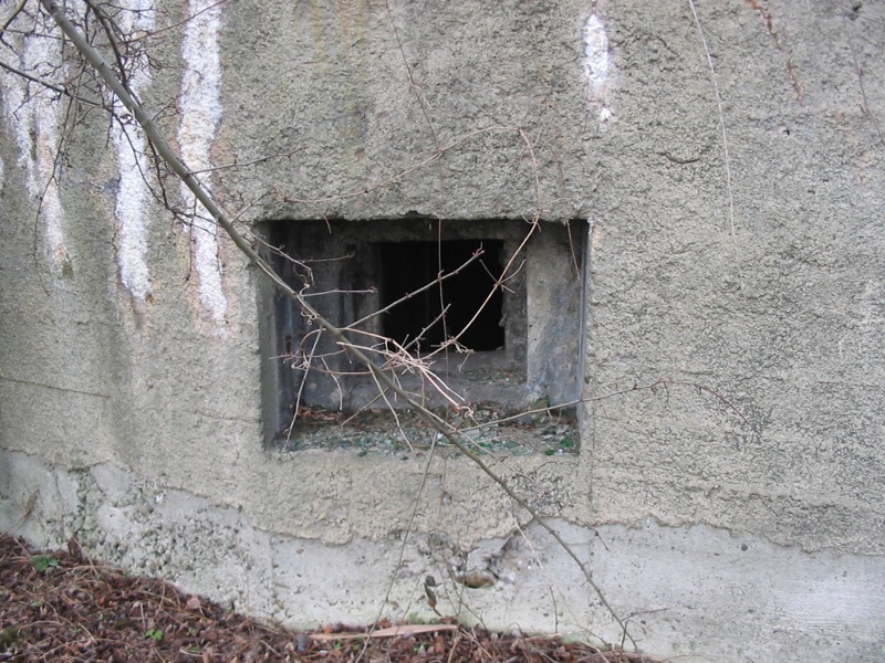 Ligne Maginot - Stand de tir Desaix (Blockhaus du) - Vue des créneaux