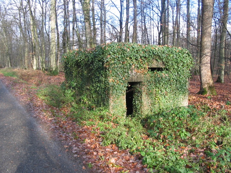 Ligne Maginot - ROUTE FORESTIERE DE LAUBACH 1 - (Blockhaus pour arme infanterie) - 