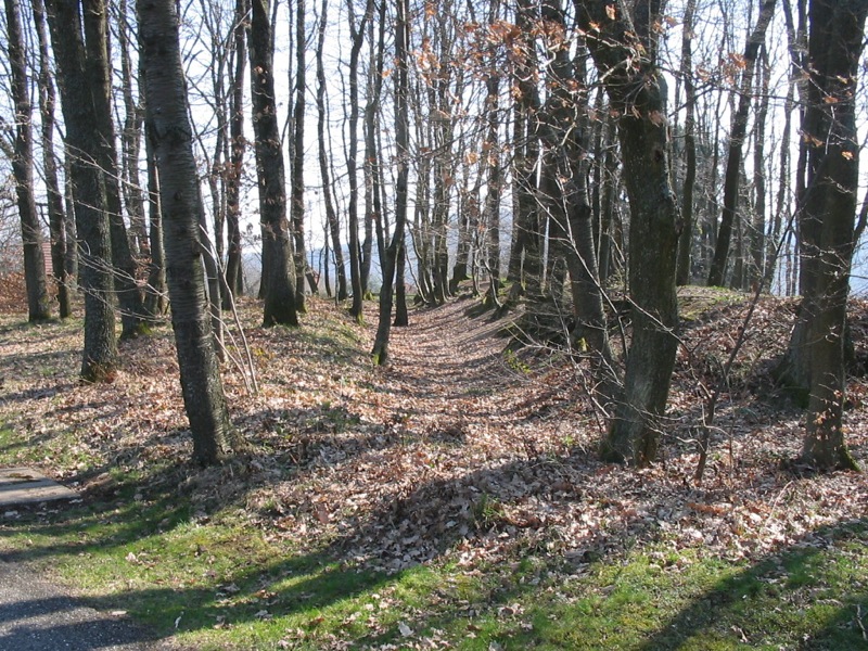 Ligne Maginot - CLIMBACH 1 - (Blockhaus pour arme infanterie) - Vue de la redoute du 18ème siècle voisine du blockhaus
