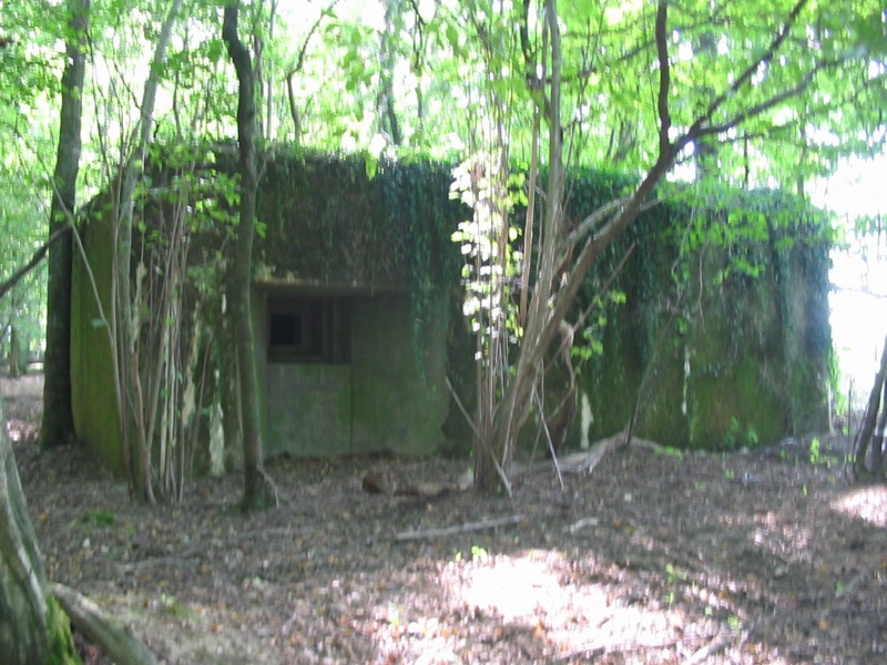 Ligne Maginot - SELTZBACH 1 (Blockhaus pour arme infanterie) - Vue générale extérieure