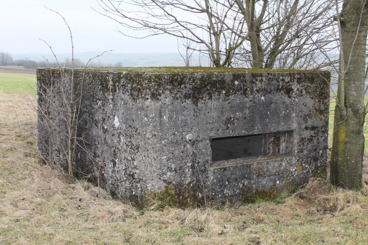 Ligne Maginot - HILLEN OUEST - (Blockhaus pour arme infanterie) - Façade de tir