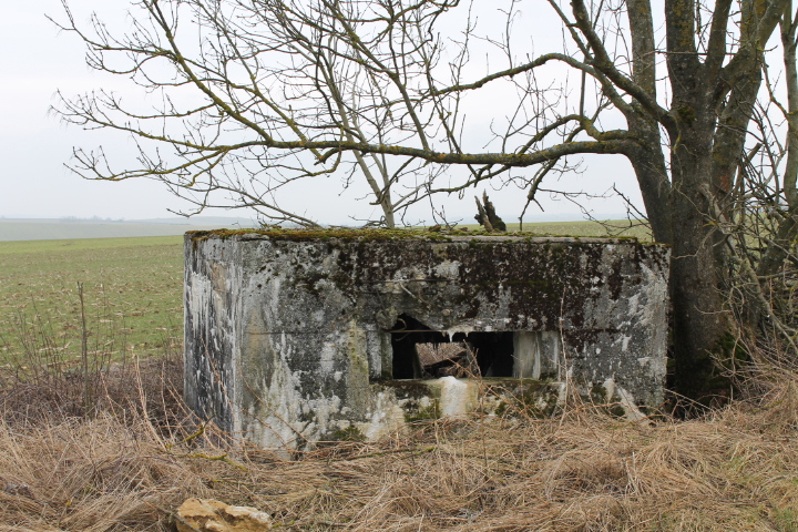 Ligne Maginot - HILLEN EST - (Blockhaus pour arme infanterie) - Façade de tir