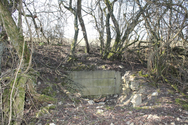 Ligne Maginot - STEINER DEL 1 - (Blockhaus pour arme infanterie) - Les restes du blockhaus
