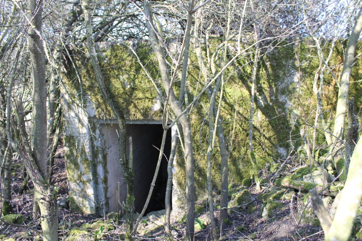 Ligne Maginot - STEINER DEL 2 - (Blockhaus pour arme infanterie) - L'entrée