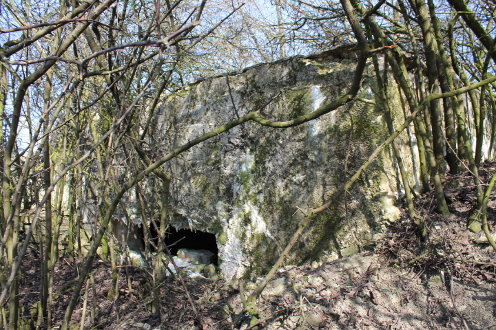 Ligne Maginot - NEUWIESE 2 - (Blockhaus pour canon) - Façade de tir