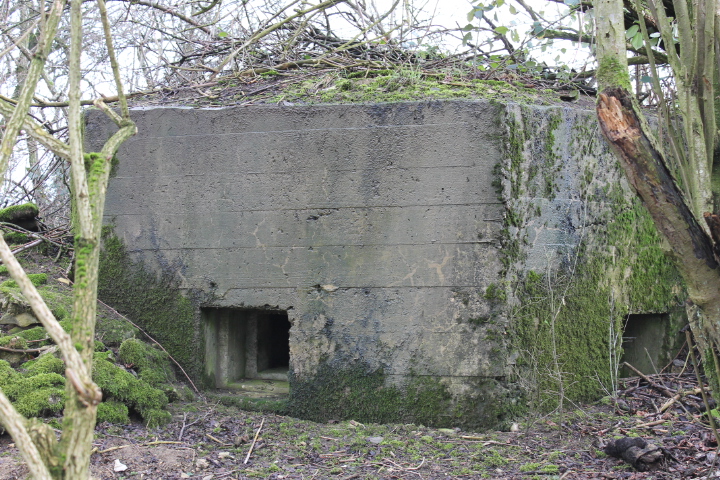 Ligne Maginot - KALKOFEN 7 - (Blockhaus pour arme infanterie) - Façade de tir