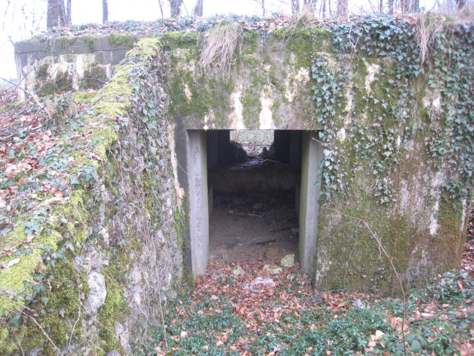 Ligne Maginot - DB209 - (Blockhaus pour canon) - 