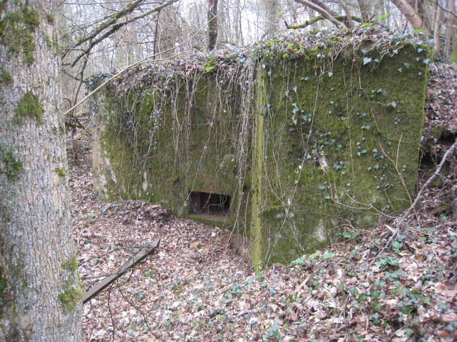 Ligne Maginot - CB335 - BOIS DE LA FANK - (Blockhaus pour arme infanterie) - 