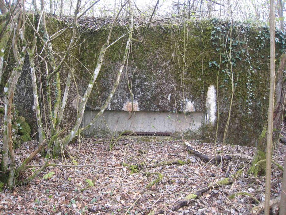 Ligne Maginot - CB330 - GINSKLOPP NORD - (Blockhaus pour canon) - 
