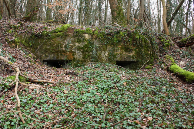Ligne Maginot - 57 - SAINTE ERNELLE - (Blockhaus pour arme infanterie) - 