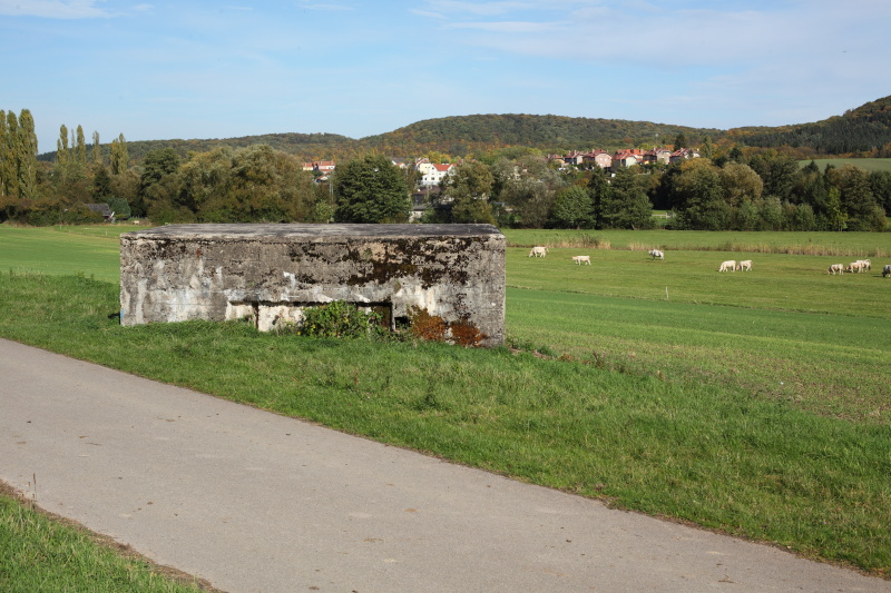 Ligne Maginot - CB156 - HOHDORN - (Blockhaus pour canon) - 