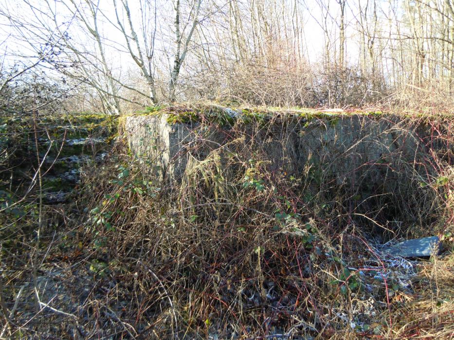 Ligne Maginot - GROSSENWALD - (Poste GRM - Maison Forte) - L'ouvrage est malheureusement au milieu d'un enchevêtrement de ronces .