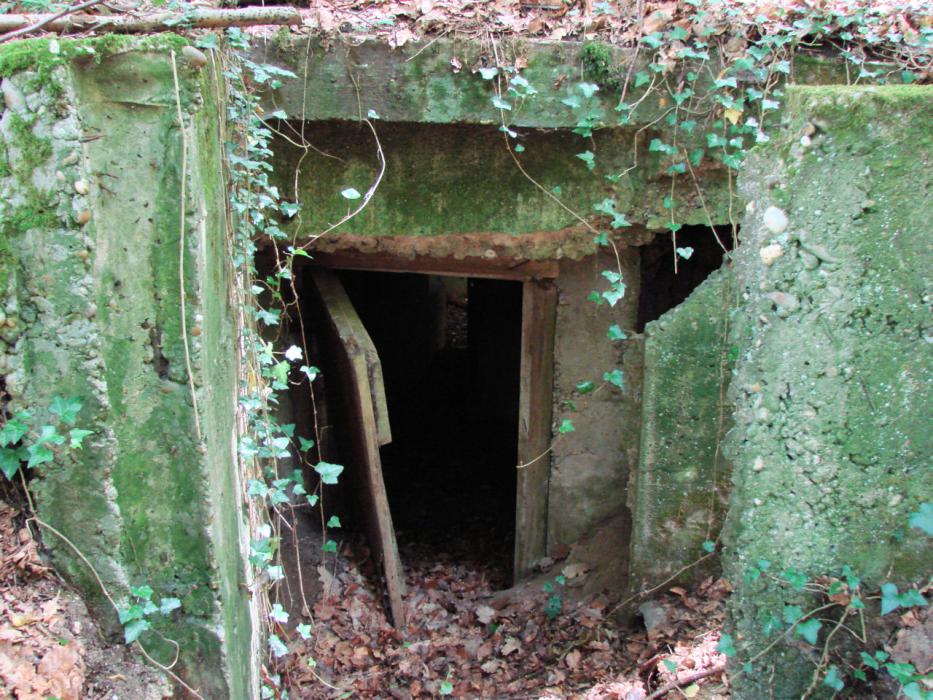 Ligne Maginot - CB103 - (Blockhaus pour canon) - Noter que la porte est faite de planches de bois recouvertes d'une plaque de tôle.