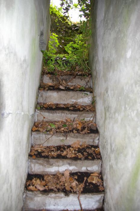 Ligne Maginot - Grunhütte 4 - Escalier est 
