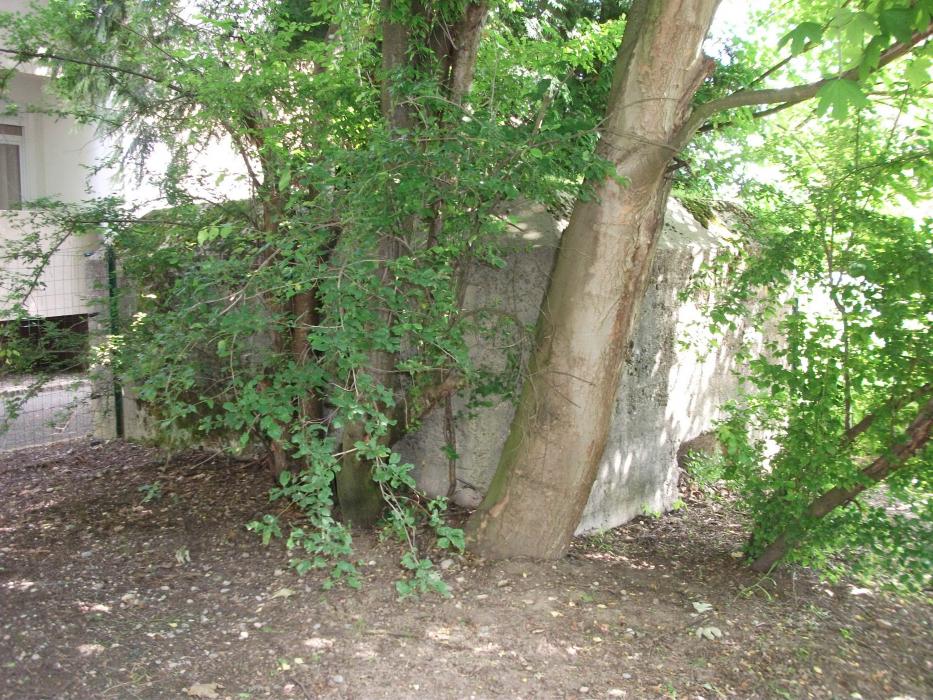 Ligne Maginot - Extérieur coté Ouest - L'ouverture ou le créneau est caché par les arbres