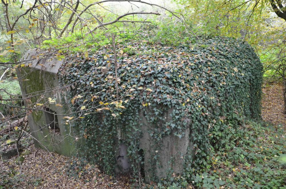 Ligne Maginot - HABERHAEUSER 2 - (Blockhaus pour arme infanterie) - Vue arrière de l'abri avec son entrée à droite, son créneau de défense rapprochée et sa goulotte à grenade