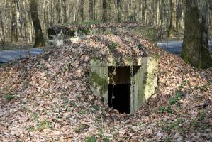 Ligne Maginot - BUSCHWIESE 1 - (Blockhaus pour arme infanterie) - 