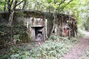 Ligne Maginot - Casemate d'artillerie d'Ottonville - BCa1 - Les entrées de la casemate