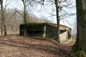 Ligne Maginot - MARIENTHAL 2 (AVANT POSTE) - (Blockhaus pour arme infanterie) - Vue d'ensemble