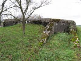 Ligne Maginot - LEYER 2 - (Blockhaus pour arme infanterie) - Le chemin d'accès à l'entrée