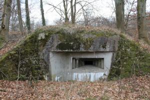 Ligne Maginot - SCHLOSSWALD 1 - (Blockhaus pour arme infanterie) - Créneau mitrailleuse