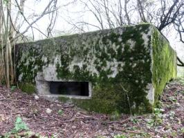 Ligne Maginot - STEINER DEL 4 - (Blockhaus pour canon) - Façade de tir