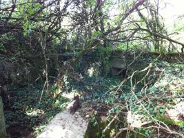 Ligne Maginot - L emplacement du canon perdu dans la végétation - 