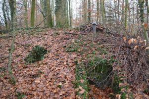 Ligne Maginot - Batterie de Willerhof - Réservations pour la protection des arbres conservés pour le camouflage.